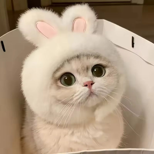 Bunny Bonnet Limited Easter Edition