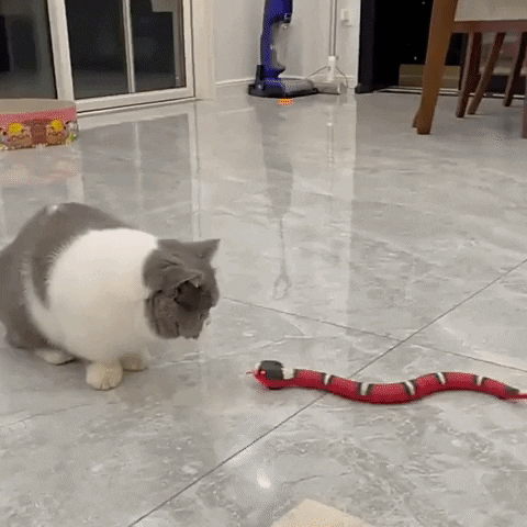 SneakPounce Pro