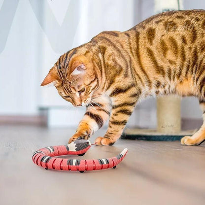 SneakPounce Pro